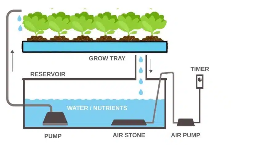 Cross-section illustration of a hydroponic planter system showing water, nutrients, and plant roots